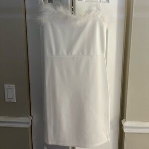 Nasty Gal Feather a Dull Moment Dress